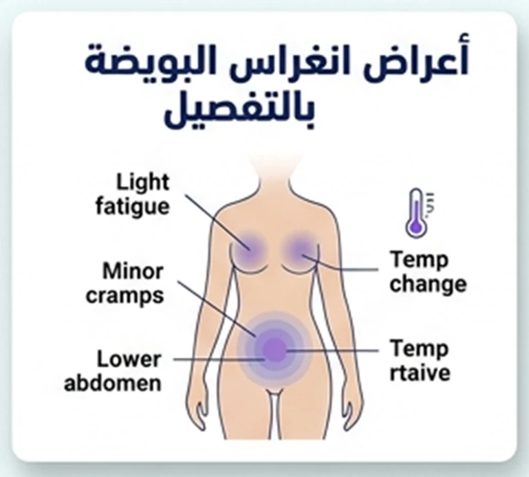أعراض انغراس البويضة بالتفصيل